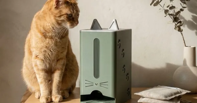 Sage green pouch dispenser with cat ears and a whisker face, next to a ginger cat.